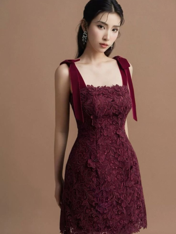 Embroidered Lace Mini Dress